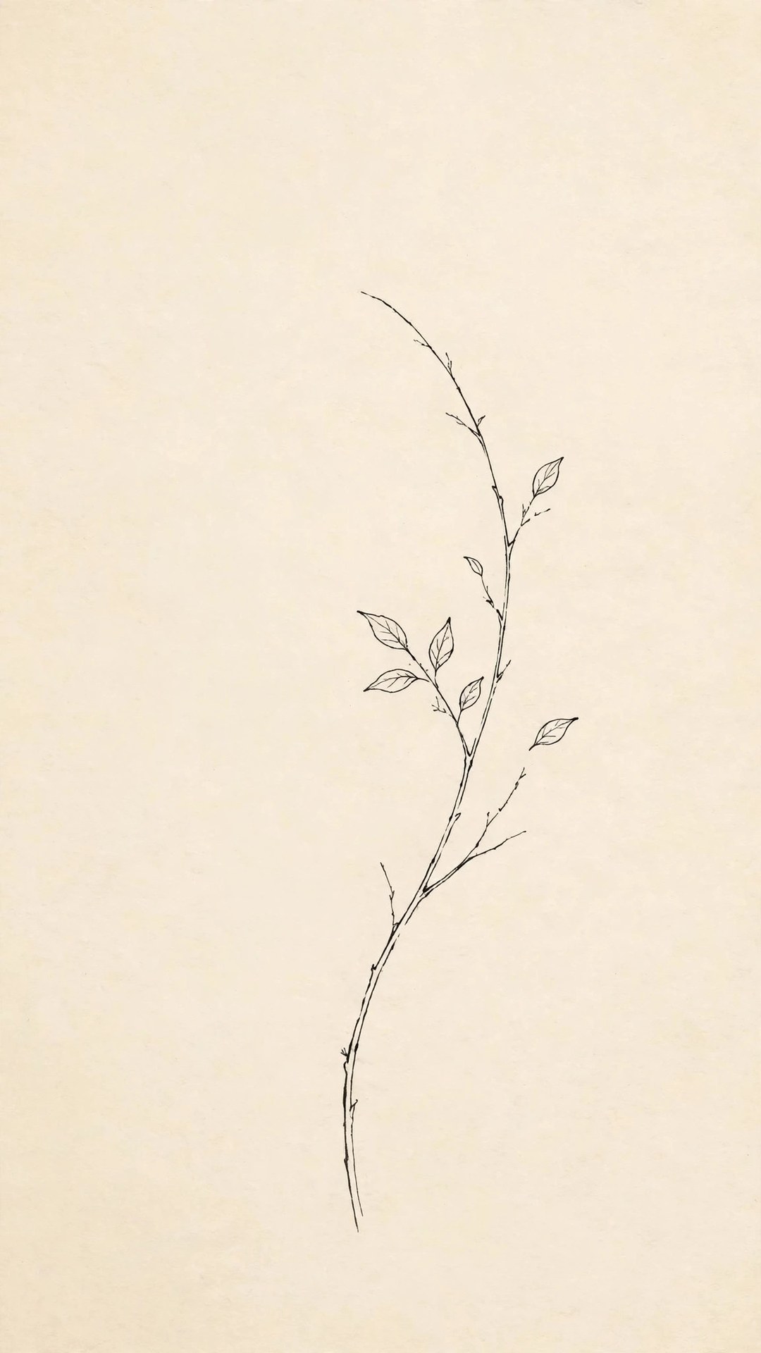 Bare Branch Minimal Wallpaper — Free Minimal Wallpaper