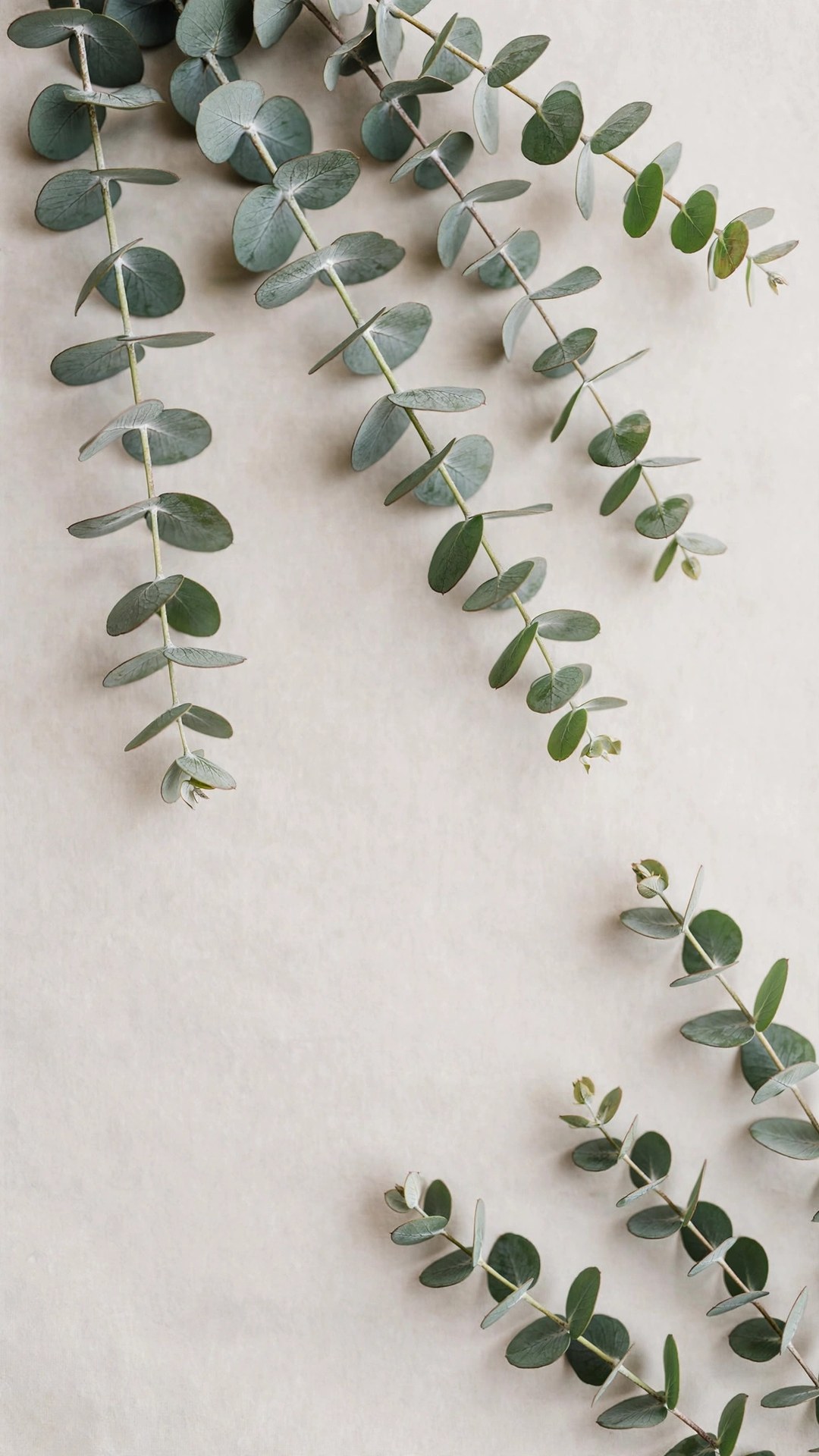 Eucalyptus Minimal Botanical Wallpaper — Free Botanical Wallpaper